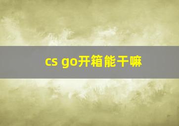 cs go开箱能干嘛